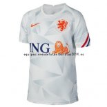 Nuevo Camiseta Países Bajos Pre Match Equipación 2020 Gris