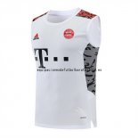 Nuevo Entrenamiento Sin Mangas Bayern Múnich 22/23 Blanco Baratas