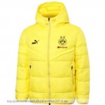 Nuevo Chaqueta De Algodón Borussia Dortmund 23/24 Amarillo Baratas Nuevo Chaqueta De Algodón Borussia Dortmund 23/24 Amarillo Baratas