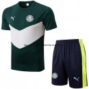 Nuevo Entrenamiento Conjunto Completo Palmeiras 22/23 Verde Blanco Baratas