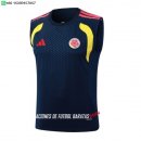 Nuevo Entrenamiento Sin Mangas Colombia 2026 Azul Amarillo Baratas Nuevo Entrenamiento Sin Mangas Colombia 2026 Azul Amarillo Baratas