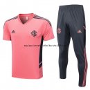 Nuevo Entrenamiento Conjunto Completo Internacional 2022 2023 Rosa Gris Baratas
