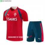 Nuevo Entrenamiento Conjunto Completo Portugal 2026 Rojo Verde Baratas Nuevo Entrenamiento Conjunto Completo Portugal 2026 Rojo Verde Baratas