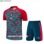 Nuevo Entrenamiento Conjunto Completo Portugal 2026 Rojo I Verde Baratas Nuevo Entrenamiento Conjunto Completo Portugal 2026 Rojo I Verde Baratas