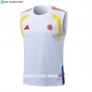 Nuevo Entrenamiento Sin Mangas Colombia 2026 Blanco Amarillo Baratas Nuevo Entrenamiento Sin Mangas Colombia 2026 Blanco Amarillo Baratas