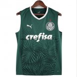 Nuevo 1ª Camiseta Sin Mangas Palmeiras 2022 2023 Verde Baratas