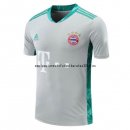 Nuevo Camiseta Portero Bayern Múnich 20/21 Gris Baratas