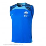 Nuevo Entrenamiento Sin Mangas Inter Milan 24/25 Azul Baratas Nuevo Entrenamiento Sin Mangas Inter Milan 24/25 Azul Baratas