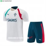 Nuevo Entrenamiento Conjunto Completo Portugal 2026 Blanco Verde Baratas Nuevo Entrenamiento Conjunto Completo Portugal 2026 Blanco Verde Baratas