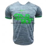 Nuevo Camisetas Nigeria Entrenamiento 2018 Gris Baratas