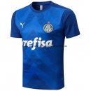 Nuevo Entrenamiento Palmeiras 22/23 Azul Baratas
