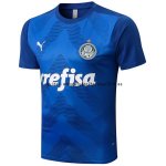 Nuevo Entrenamiento Palmeiras 22/23 Azul Baratas