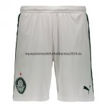 Nuevo Camisetas Palmeiras 1ª Pantalones 19/20 Baratas