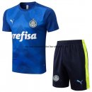 Nuevo Entrenamiento Conjunto Completo Palmeiras 22/23 Azul Baratas