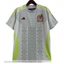 Nuevo Tailandia 2ª Camiseta Mexico 2024 Gris Baratas Nuevo Tailandia 2ª Camiseta Mexico 2024 Gris Baratas