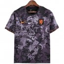 Nuevo Entrenamiento Países Bajos 2022 Gris Baratas