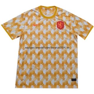 Nuevo Entrenamiento Países Bajos 2022 Amarillo Baratas
