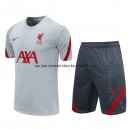 Nuevo Camisetas Liverpool Conjunto Completo Entrenamiento 20/21 Gris Baratas