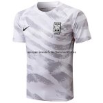 Nuevo Entrenamiento Corea 2022 Blanco Baratas