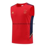 Nuevo Entrenamiento Sin Mangas Ajax 22/23 Rojo Azul Baratas