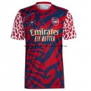 Nuevo Tailandia Camiseta Especial Arsenal 22/23 Rojo Baratas