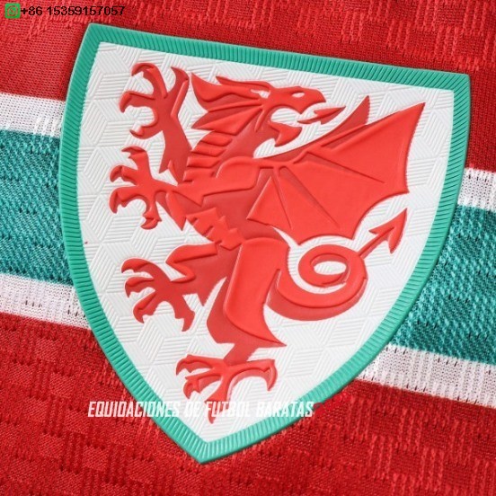 Nuevo 1ª Jugadores Camiseta Gales 2026 Baratas